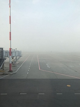 Из-за густого тумана в аэропорту Кольцово задерживают рейсы