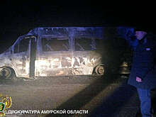 В Амурской области автобус с пассажирами вспыхнул в момент ДТП с грузовиком
