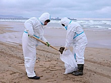 Илососы спасут черноморские курорты от мазута