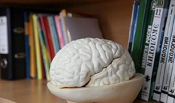 Здоровый образ жизни снижает риск развития болезни Альцгеймера и диабета