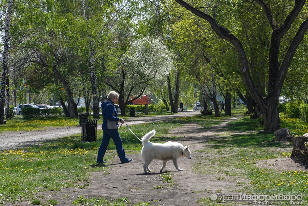В Екатеринбурге появится сквер Бориса Рыжего — решение комиссии по топонимике