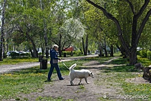 В Екатеринбурге появится сквер Бориса Рыжего – решение комиссии по топонимике