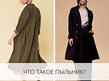 Что такое пыльник?