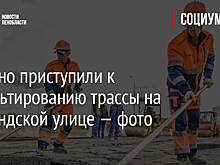 В Янино приступили к асфальтированию трассы на Голландской улице — фото
