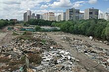 В Комитете Госдумы хотят обязать регионы планировать создание новых мусорных полигонов