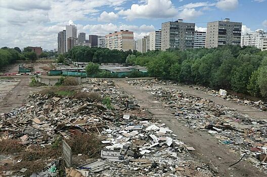 В Комитете Госдумы хотят обязать регионы планировать создание новых мусорных полигонов