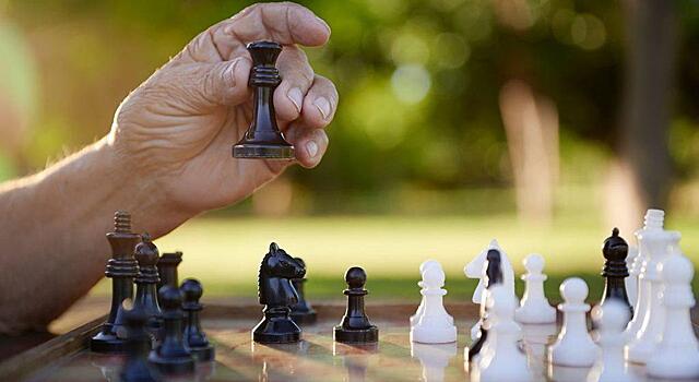 В парке на Ходынке открылась секция шахмат