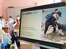 Экоурок в школе №8: заботимся о природе вместе