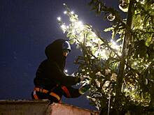 Ель на главной площади российского города перестала «выглядеть как туалетный ершик»