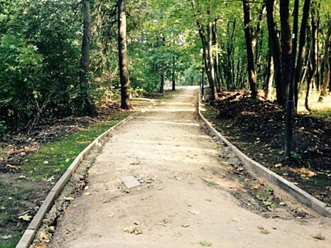Дорожки в парке Ботаника снова обещают заасфальтировать «на этой неделе»