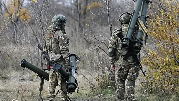 Генерал рассказал, как природа помогла ВС РФ под Красноармейском