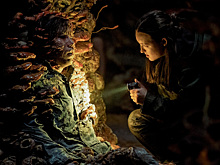 В третьем сезоне The Last of Us заменят одного из актёров