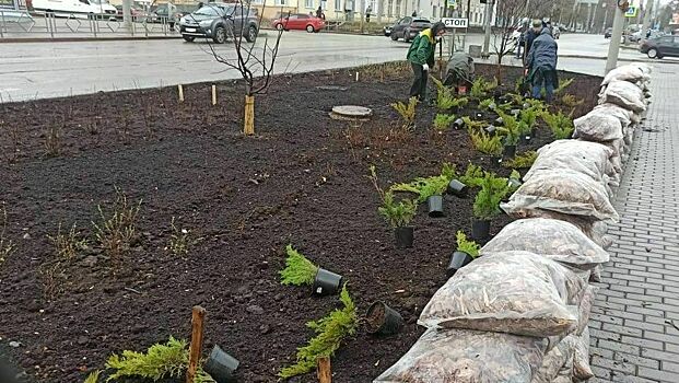В Кирове клумбы оформят по-новому