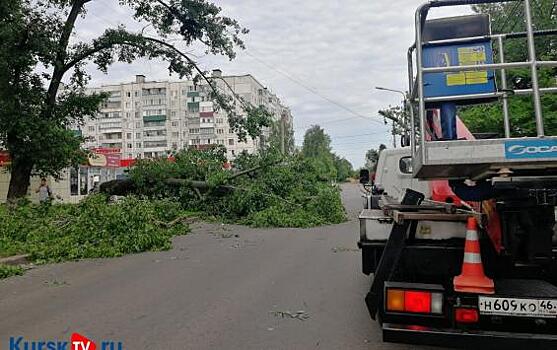 Опасные деревья