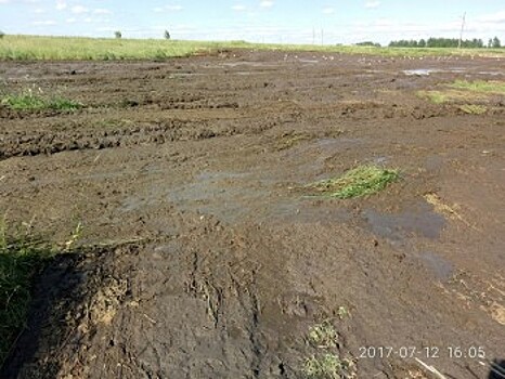 В Вологодском районе колхозники вывалили на дорогу тонны навоза (ФОТО, ВИДЕО)