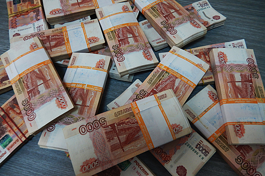 В Омске микрофинансовые организации каждый пятый рубль отдали бизнесу
