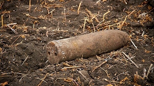 В Подмосковье снова найдены боеприпасы Великой Отечественной войны