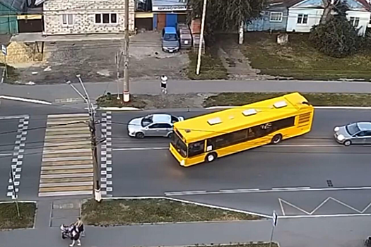 Водители Саранска получили многотысячные штрафы после объезда препятствия