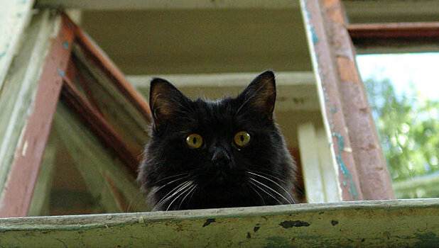 Сатанисты лишили сна жителей Нижнего Новгорода