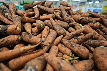 20 тонн растительной продукции отправили волгоградские аграрии в Казахстан