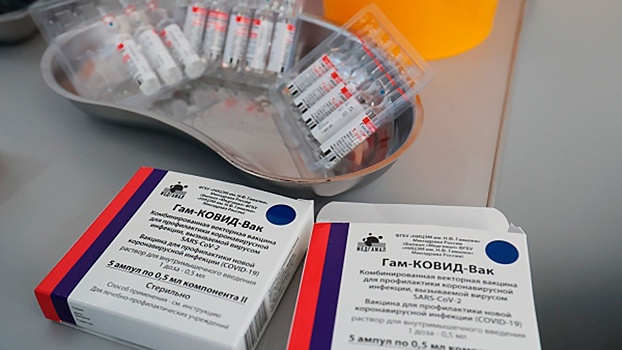Вакцину «Спутник V» зарегистрировали в Киргизии