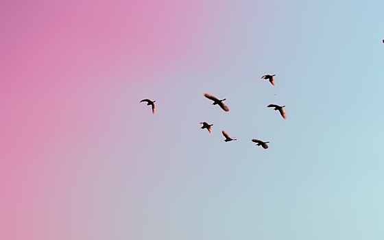 Приметы на 15 апреля: что нельзя делать в этот день