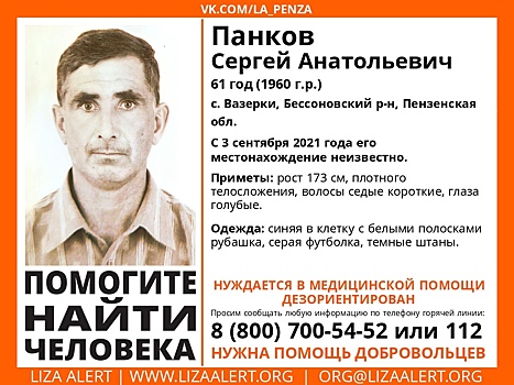 В Вазерках ищут 61-летнего Сергея Панкова