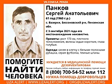 В Вазерках ищут 61-летнего Сергея Панкова