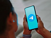 В Госдуме пообещали не блокировать Telegram при одном условии