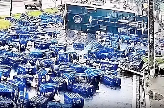 Грузовик с курами опрокинулся на скользкой дороге: видео