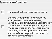 МЧС Белоруссии использовало песню «Гражданской обороны» в официальном приложении
