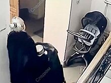 Правнук убитого экс-мэра Самары Тархова помещен в приют после ареста матери