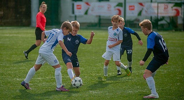 На создание Академии футбола в Севастополе потребуется 1 млрд рублей, на новую гребную базу – 275 млн