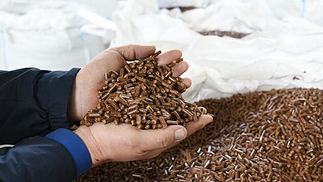 «Такого никогда не было»: В Европе начался биотопливный «психоз»