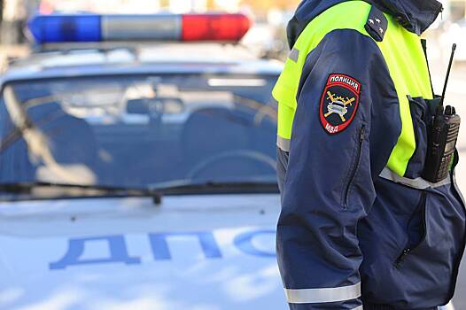 В российском регионе пьяная женщина насмерть сбила двух пешеходов