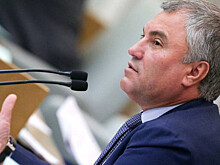 Володин пригласил спикера парламента Исландии посетить Россию