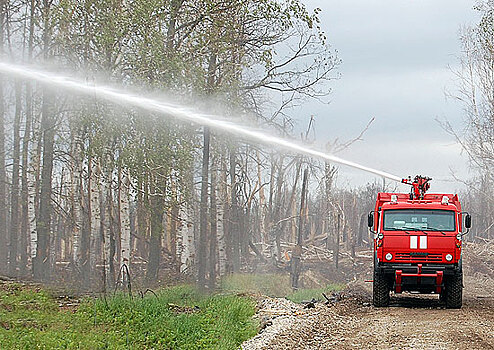 В нескольких регионах страны введён повышенный уровень пожарной опасности из-за жары