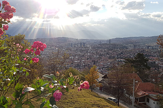 Российские картины покоряют Viva Film Festival в Сараево