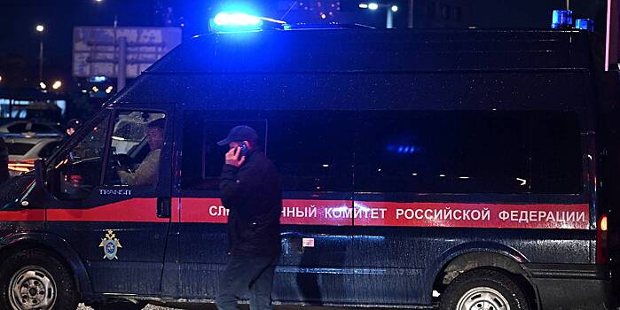 Следователи завели дело из-за примененного ВСУ против российского города «Вампира»