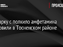 Иномарку с полкило амфетамина остановили в Тосненском районе