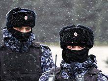 Похититель мальчика из Петербурга задержан