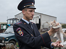 Народным участковым в Воронежской области стал полицейский из Каширского района