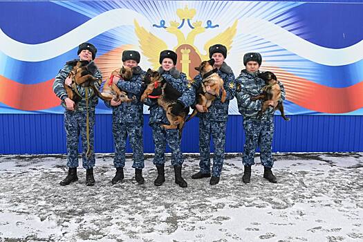 УФСИН Оренбуржья пополнилось пушистыми новобранцами