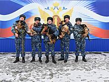 УФСИН Оренбуржья пополнилось пушистыми новобранцами