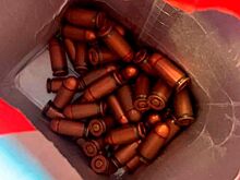В квартире Гудкова нашли патроны и снаряд