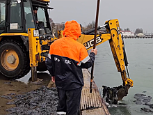 На побережье Крыма собрали более 20 тонн мазута