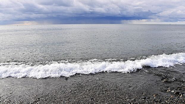 Черное море разочаровало туристов