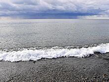 Черное море разочаровало туристов