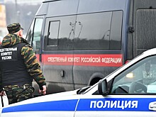 СК попросил граждан о помощи в деле девочки-маугли