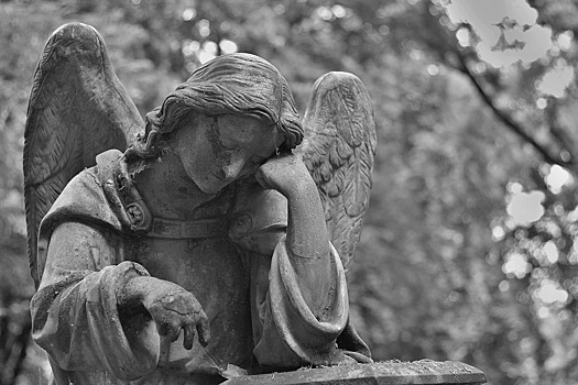 Из-за возросшей смертности в Оренбурге кладбище в Степном стало больше